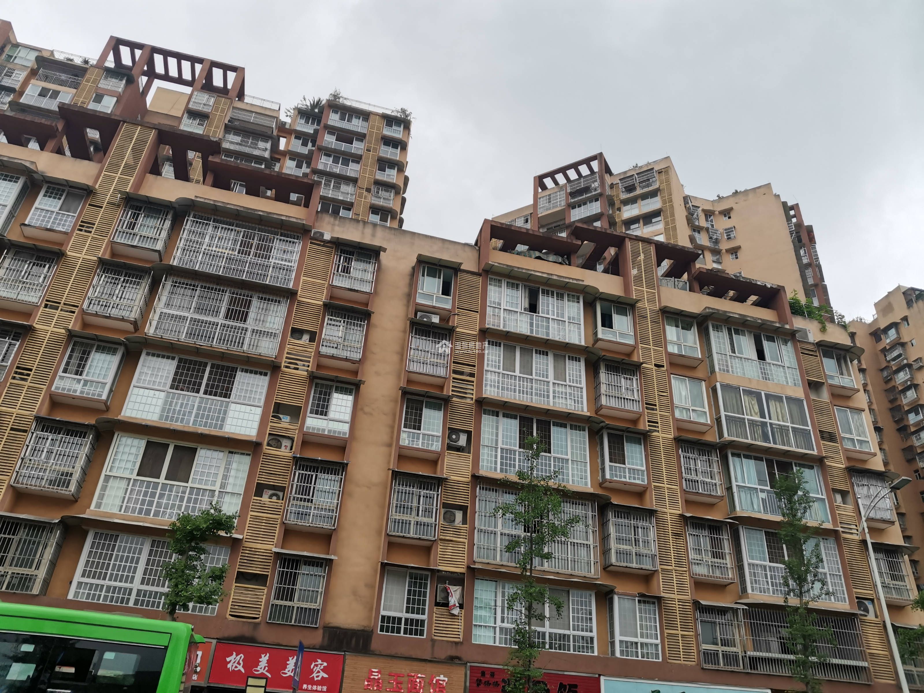 金色海岸图片