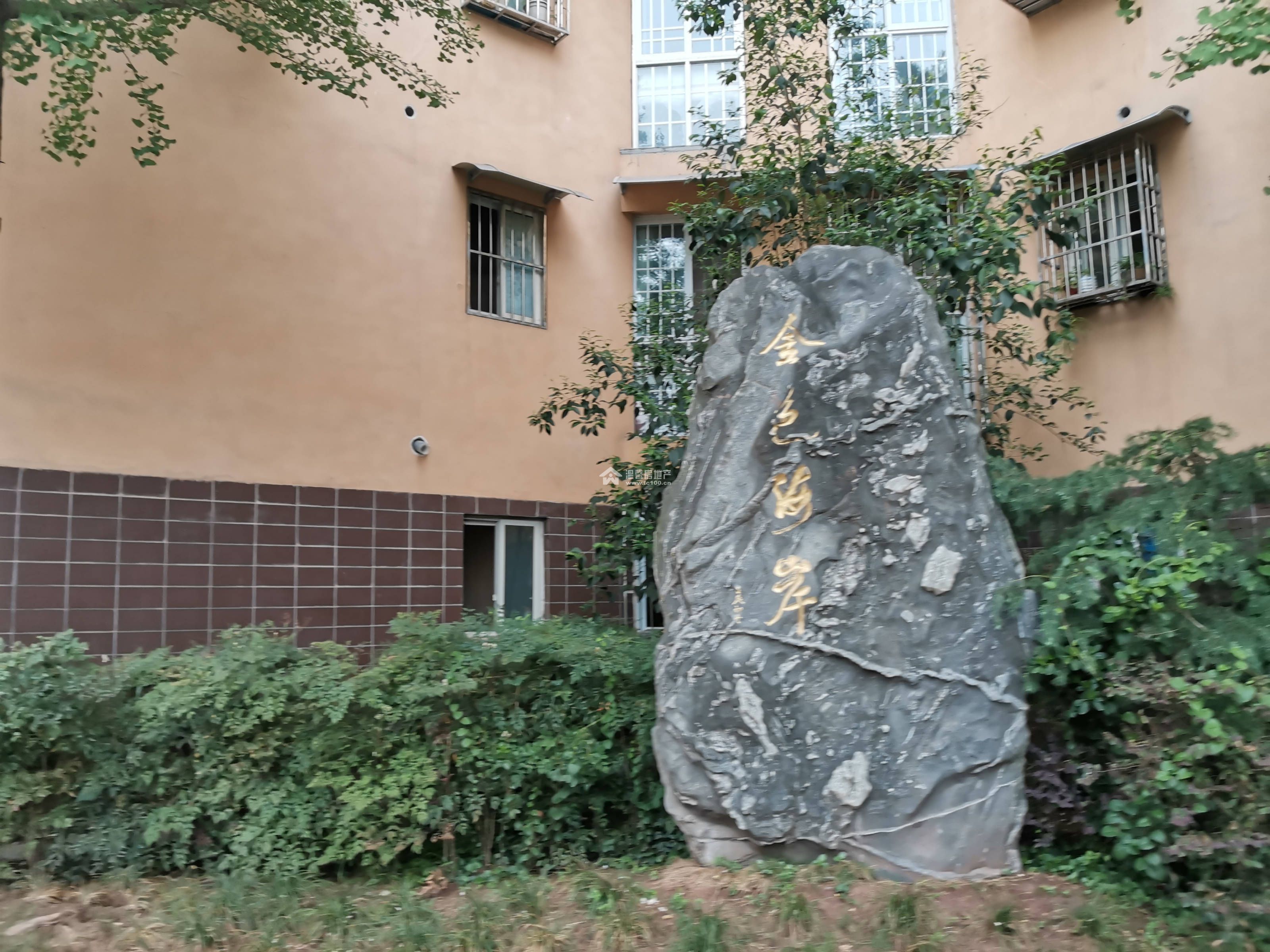 金色海岸图片