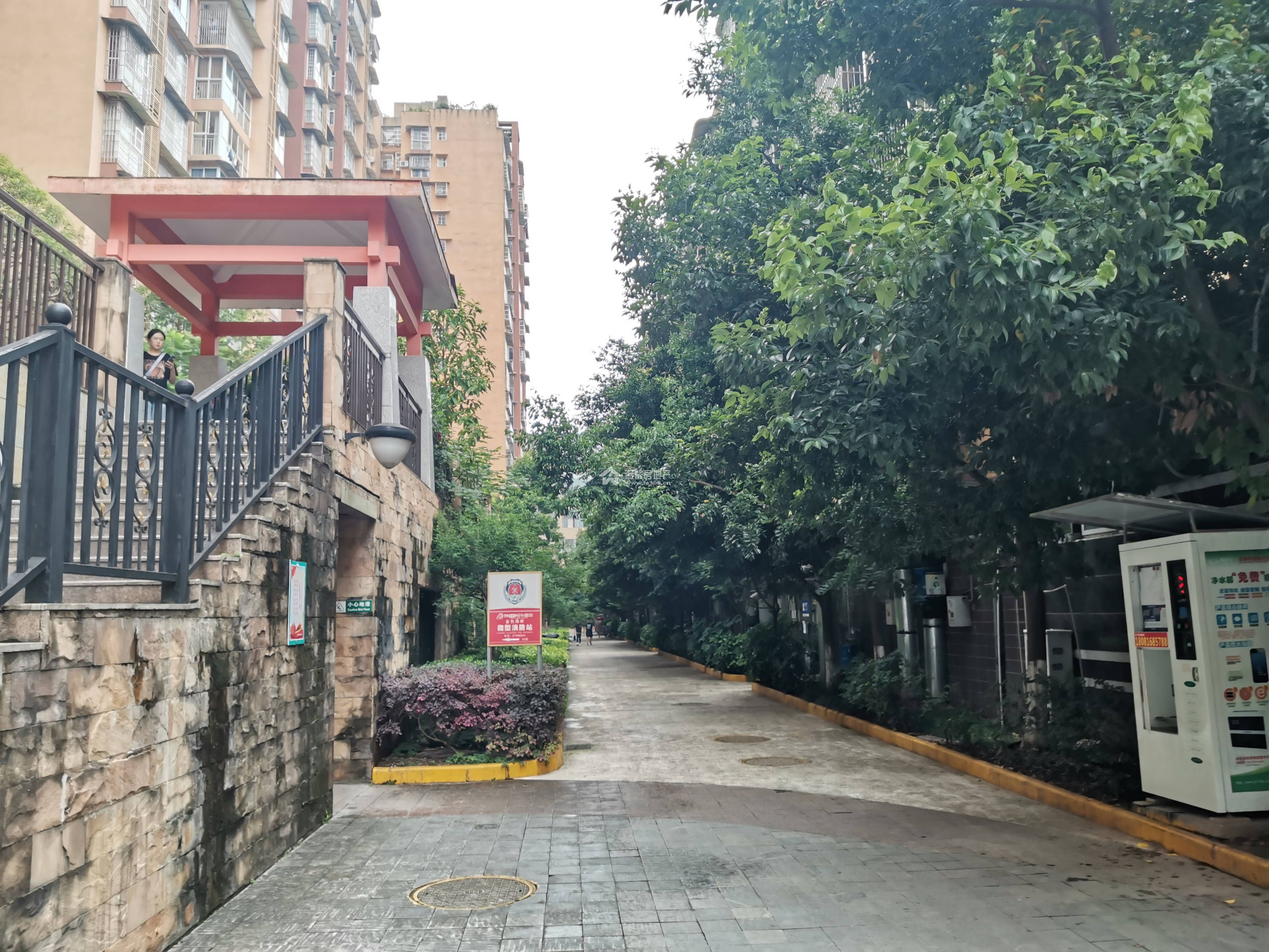 金色海岸图片