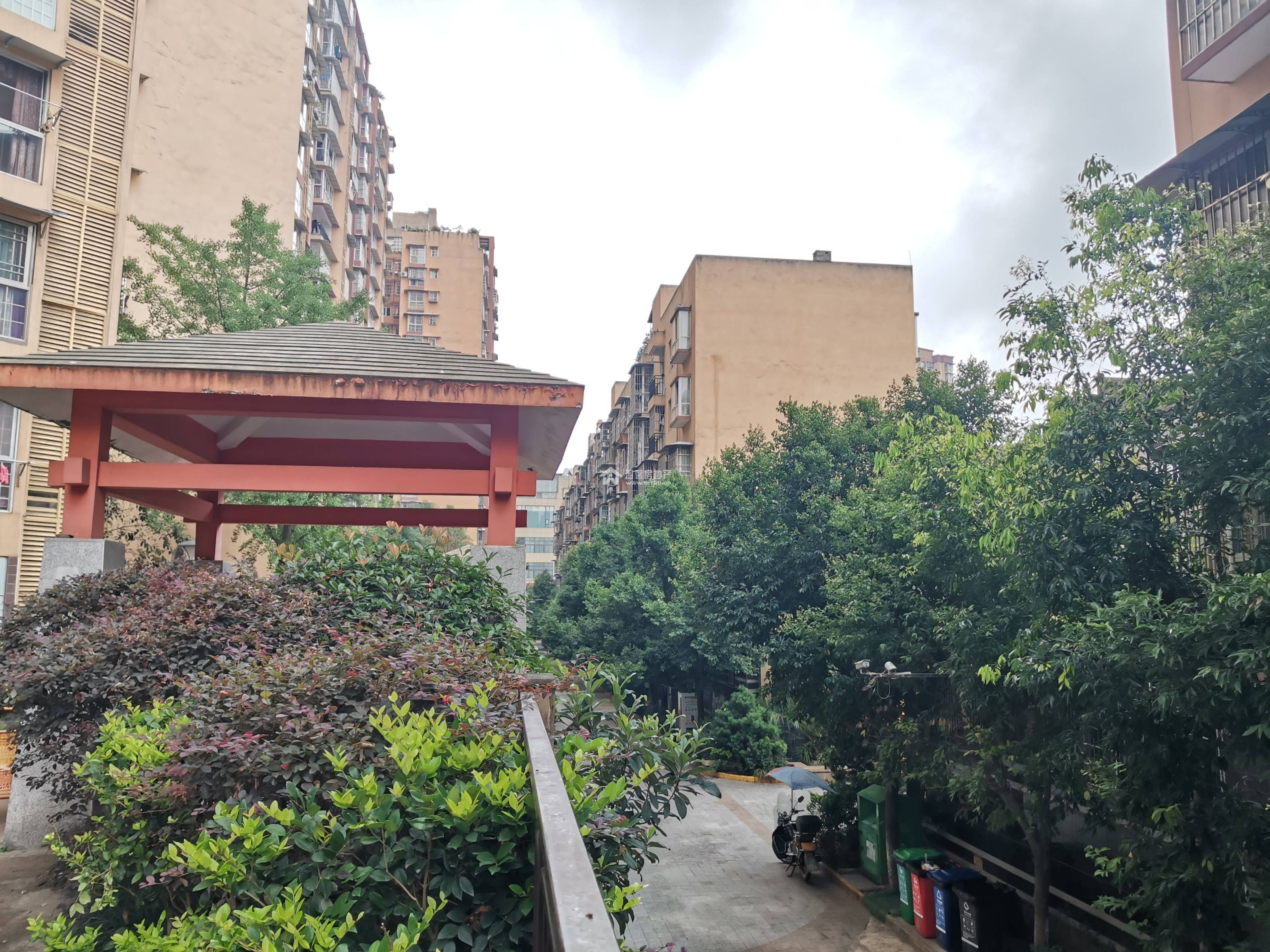 金色海岸图片
