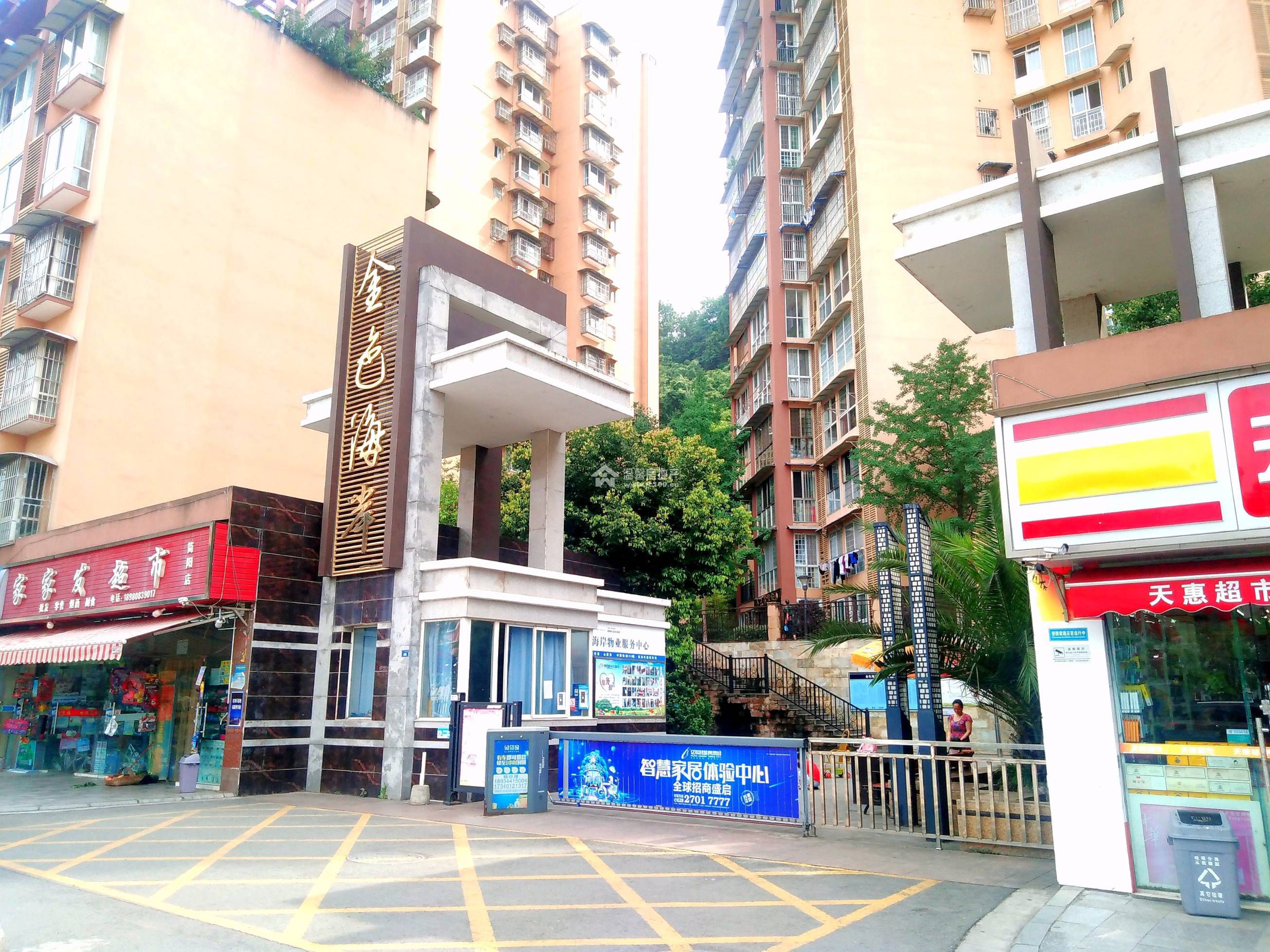 金色海岸图片