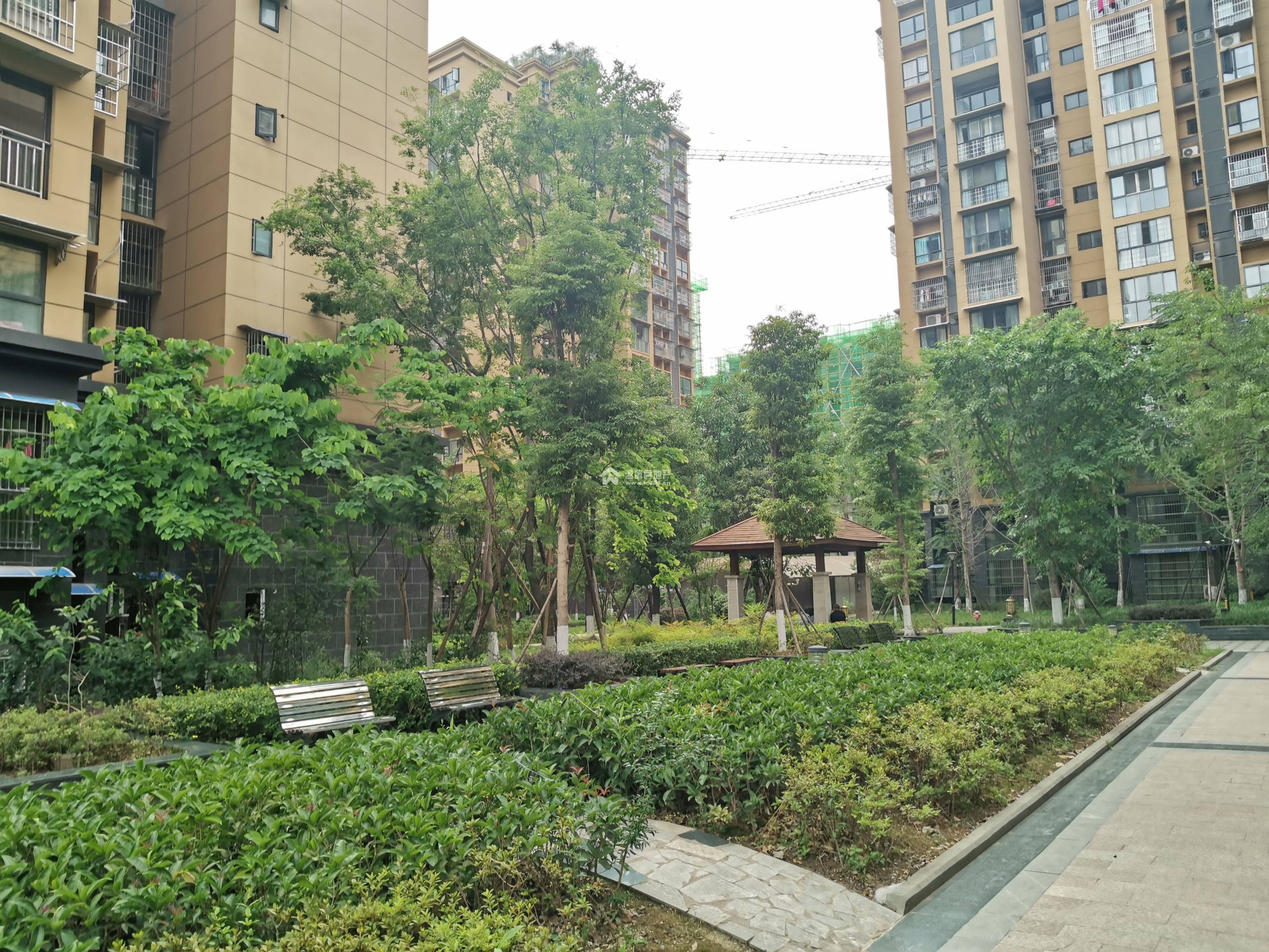 映山岭秀图片