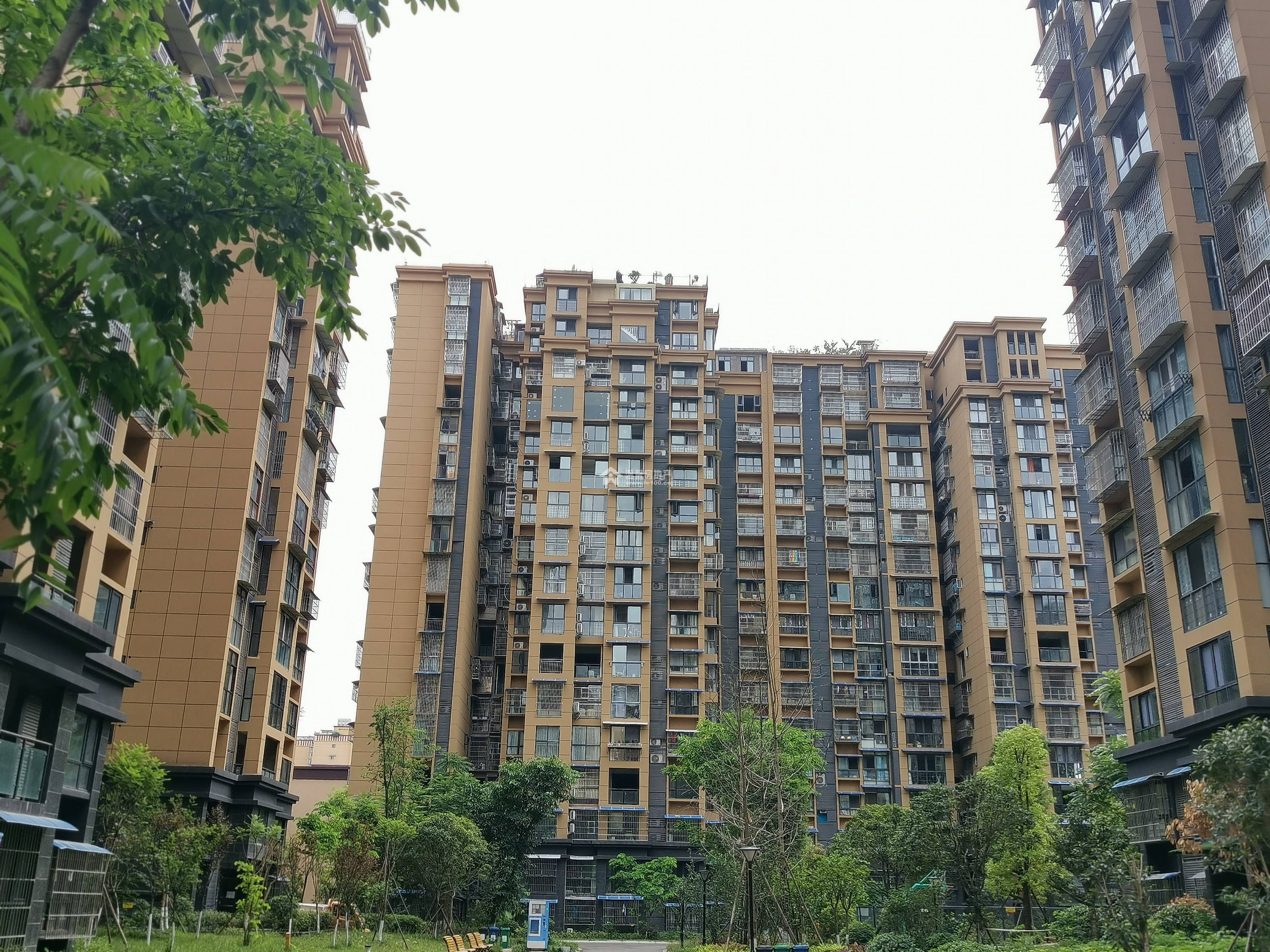 映山岭秀图片