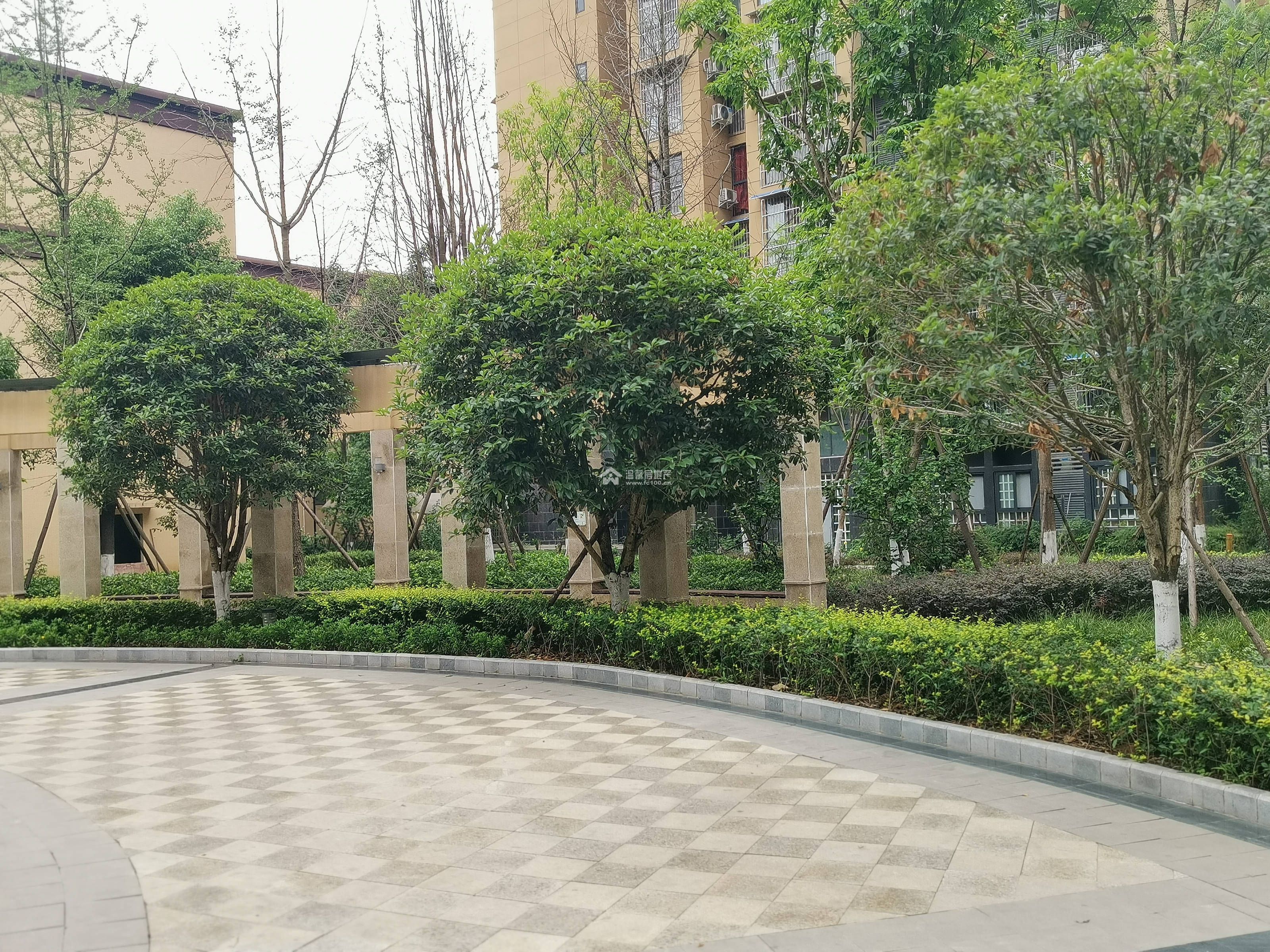 映山岭秀图片
