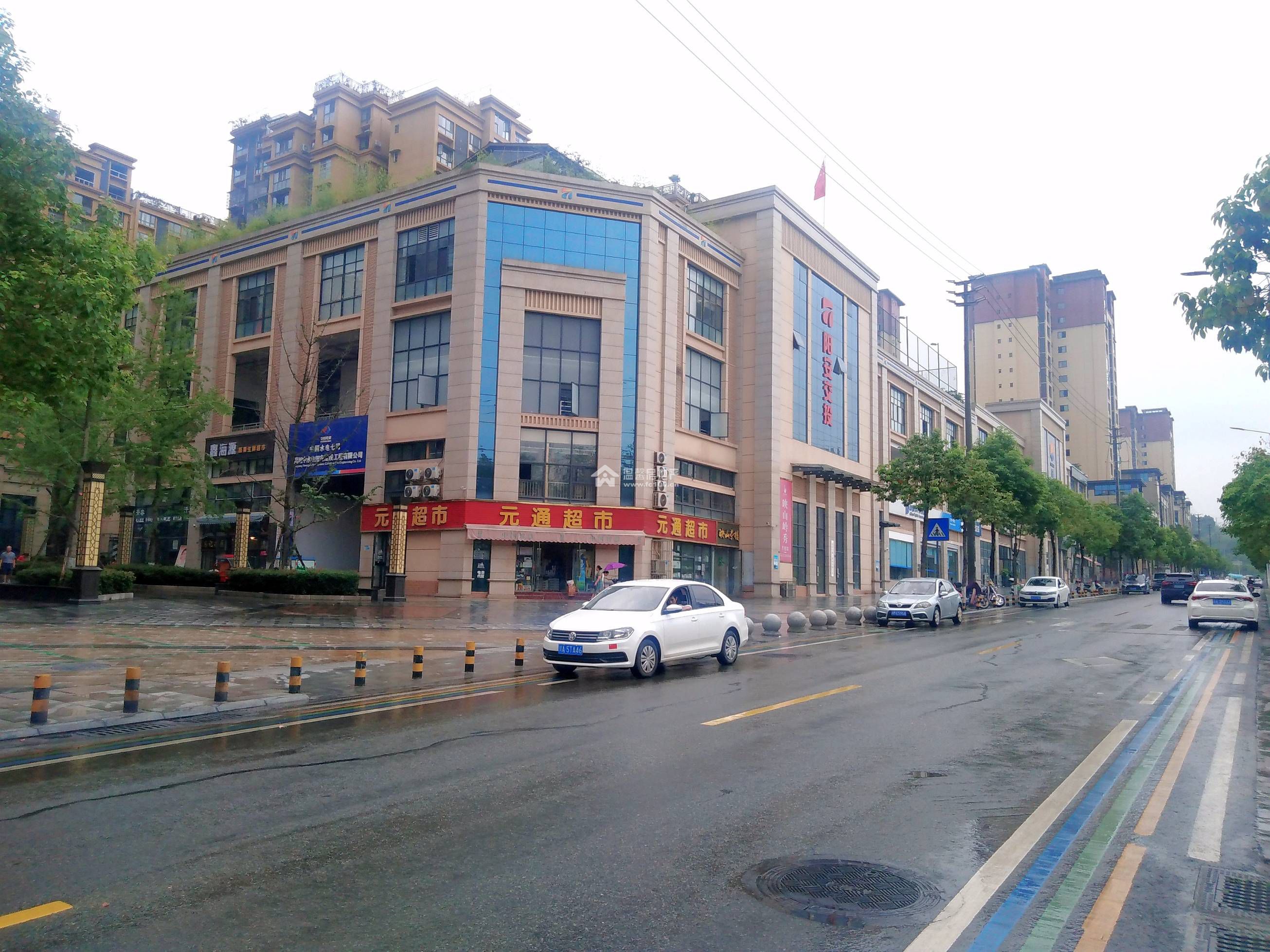 映山岭秀图片