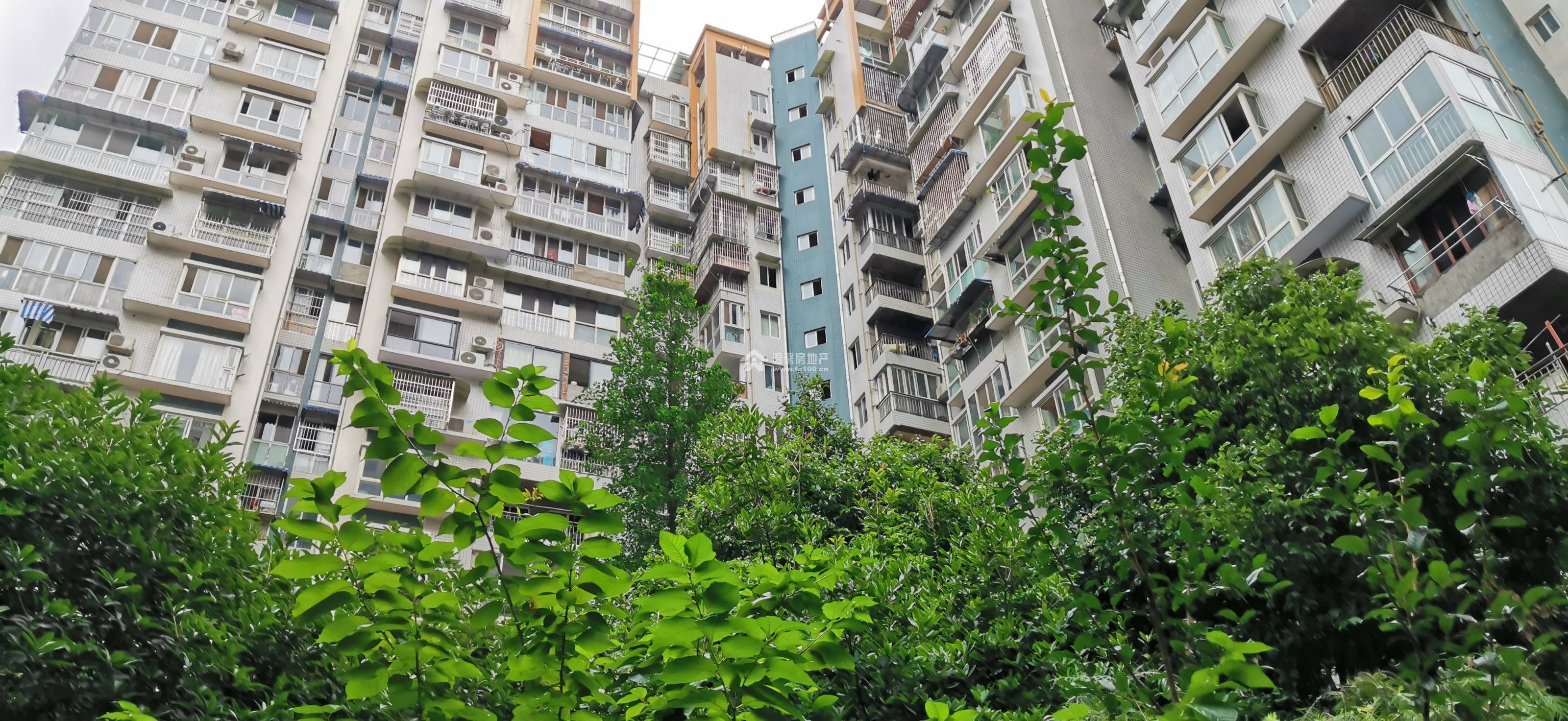 国税小区图片
