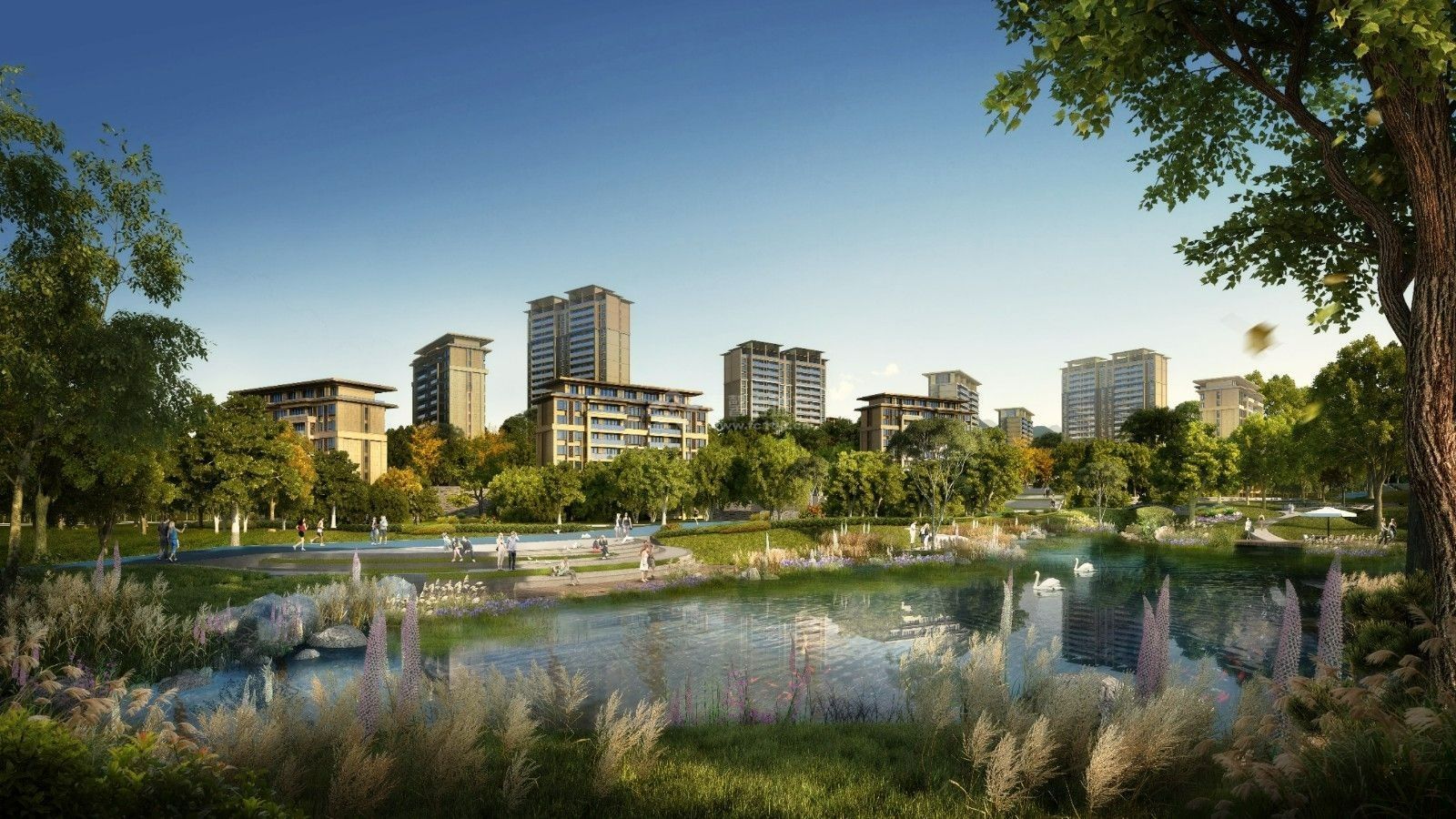 蓝绸带社区图片