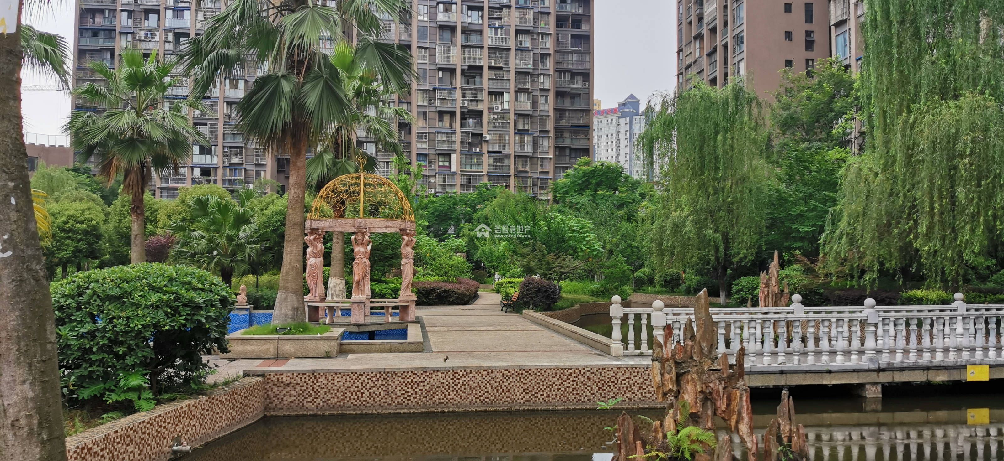 大地国际图片