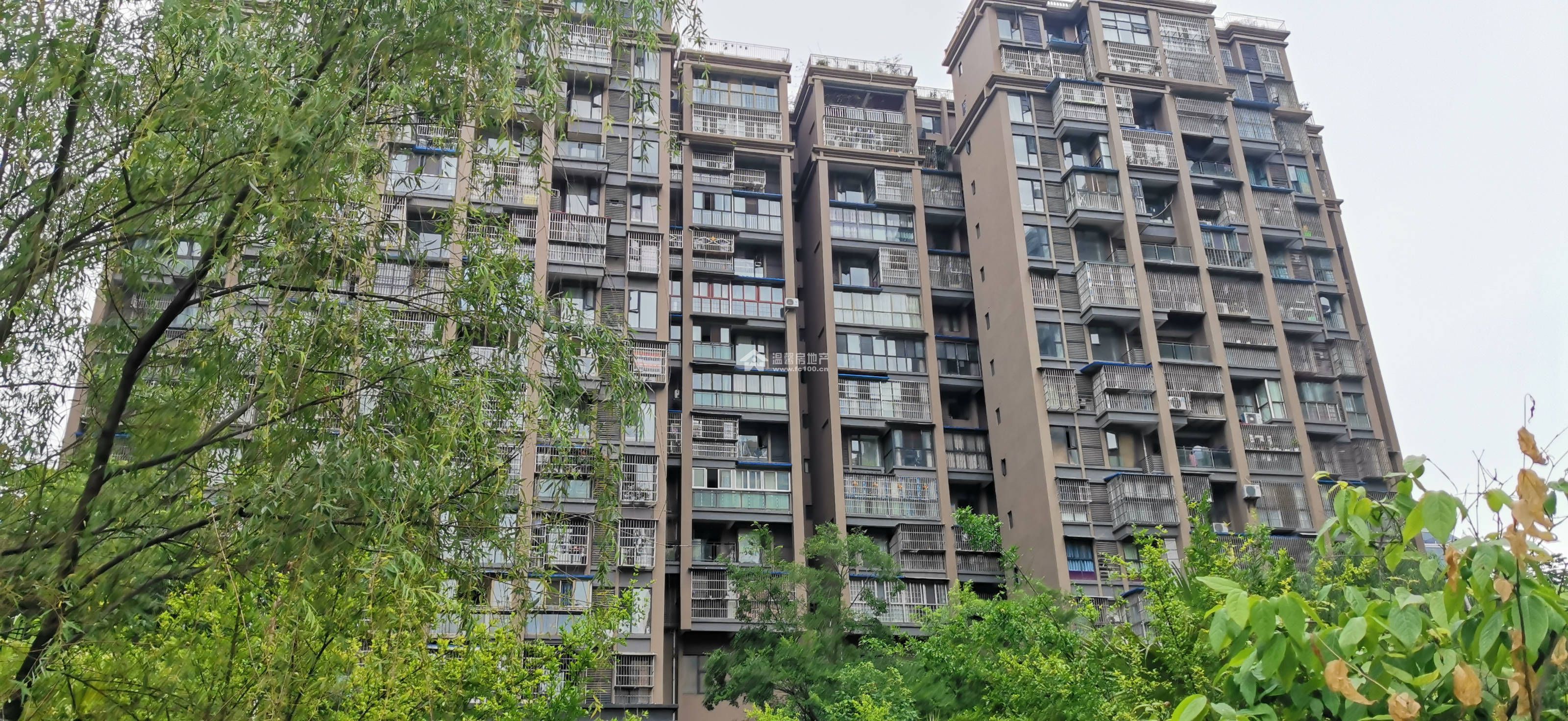 大地国际图片