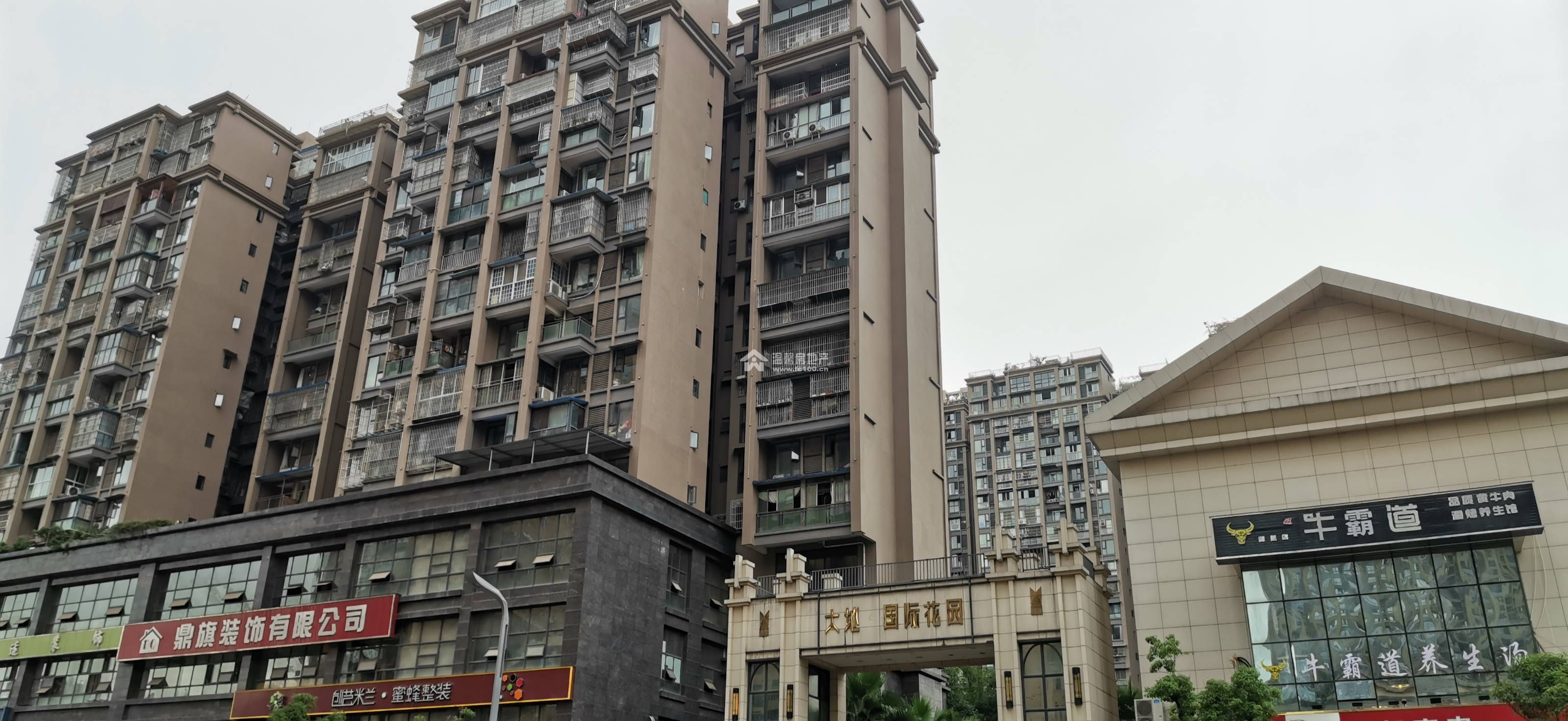 大地国际图片