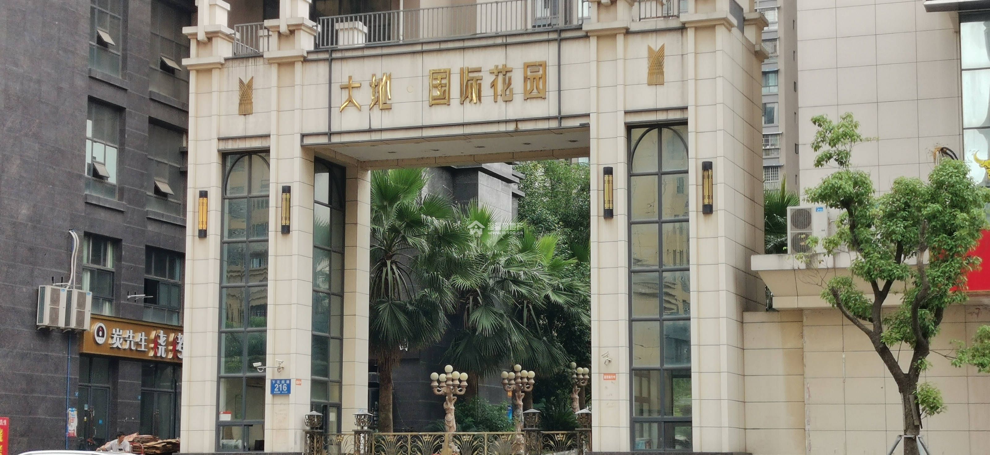 大地国际图片