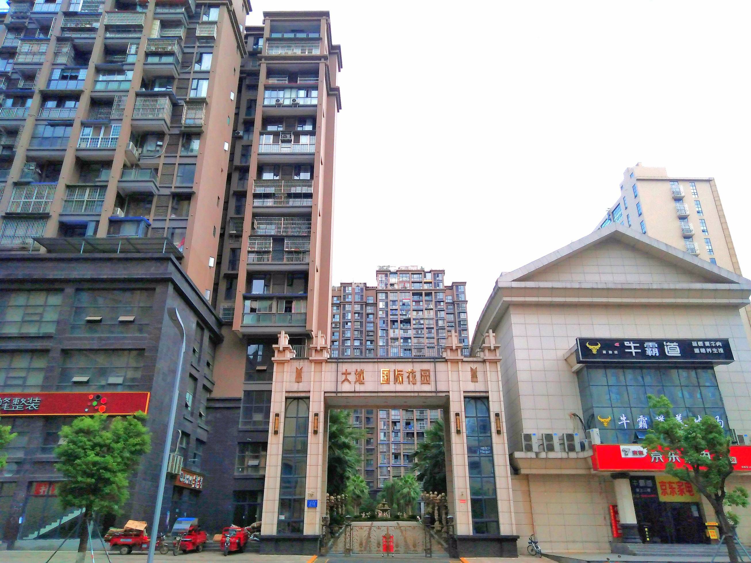 大地国际图片