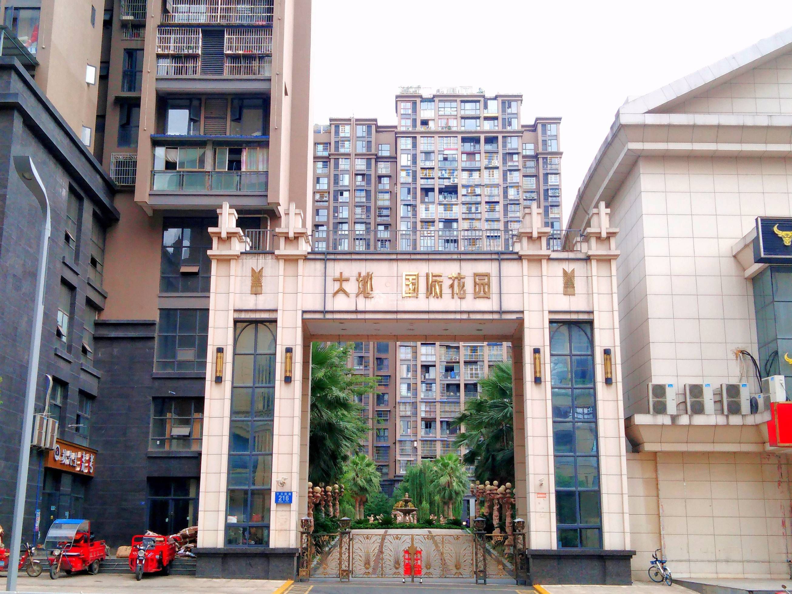 大地国际图片