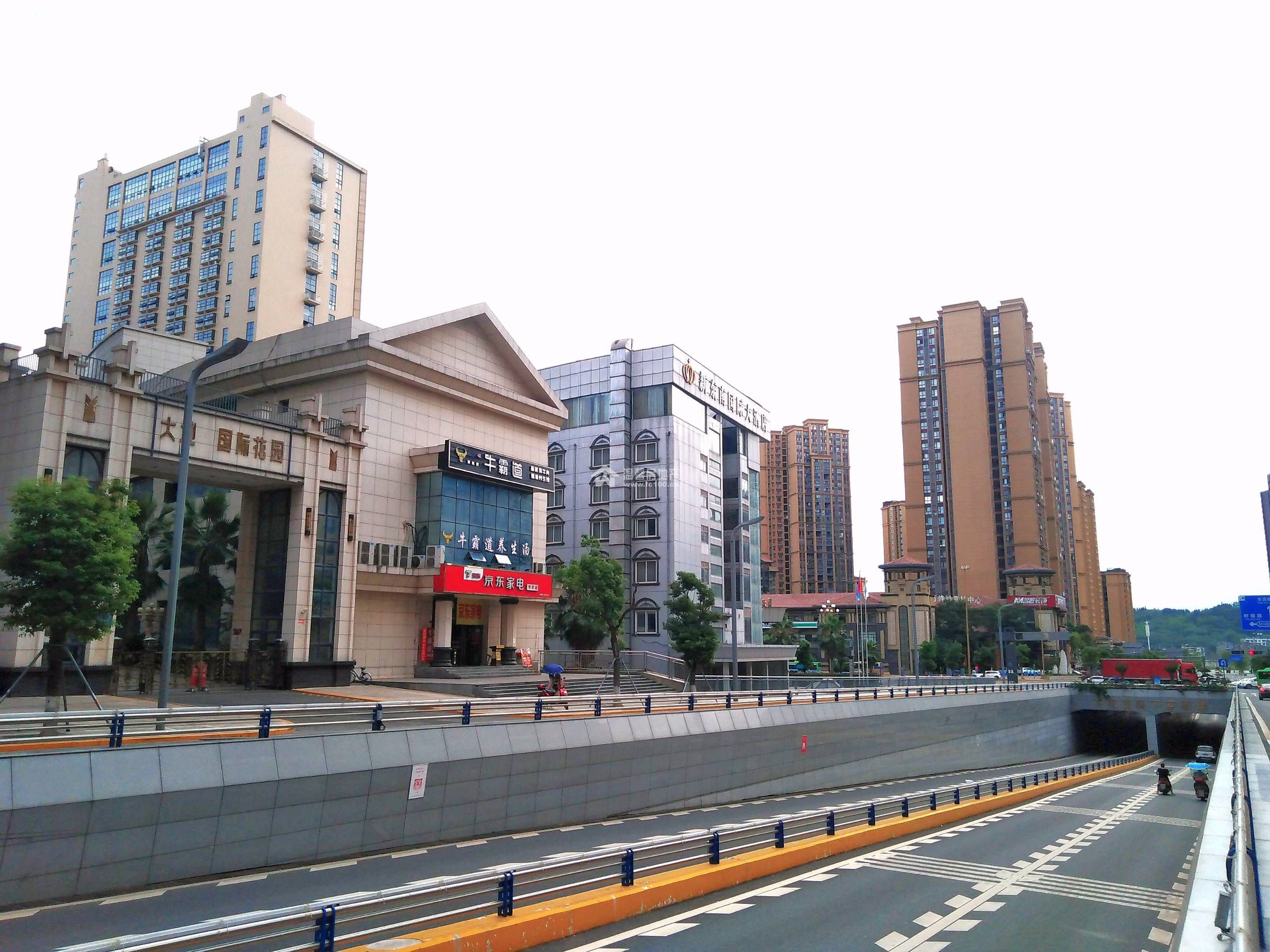 大地国际图片