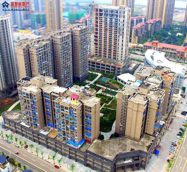 大地国际图片