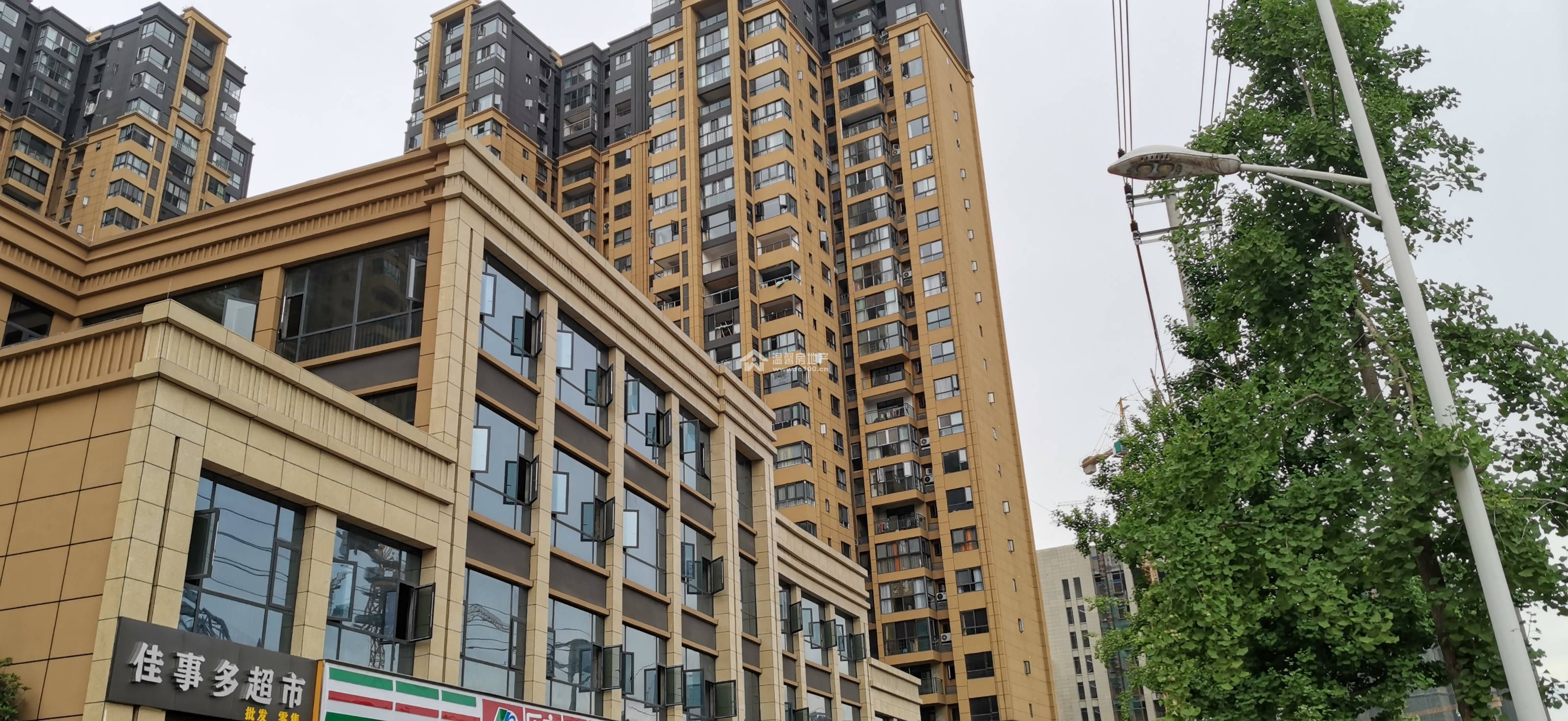 枫丹雅筑图片