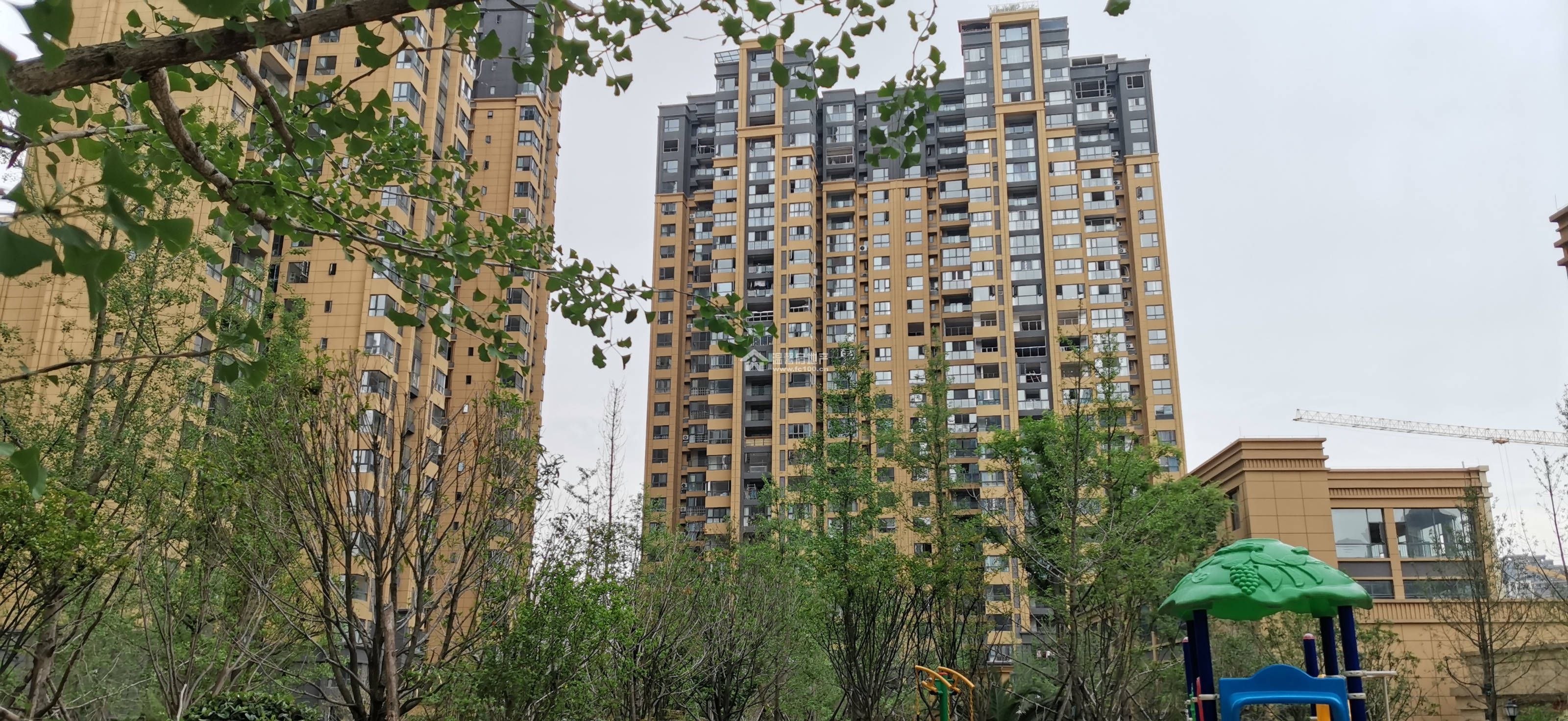 枫丹雅筑图片