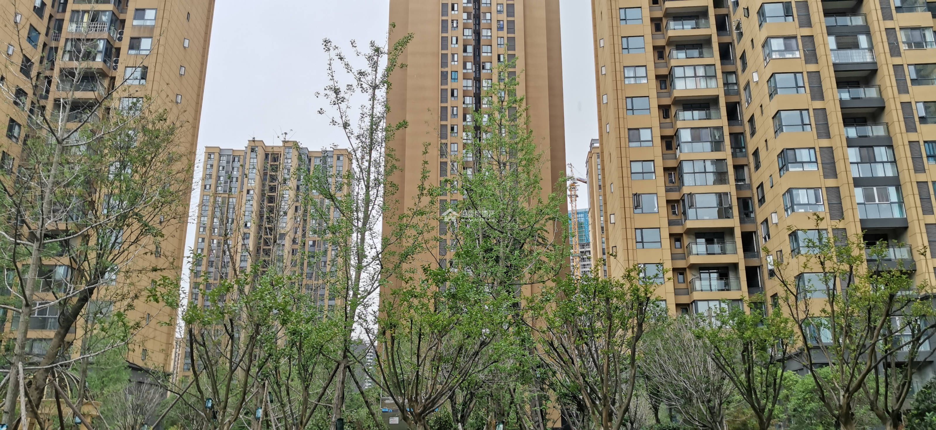 枫丹雅筑图片