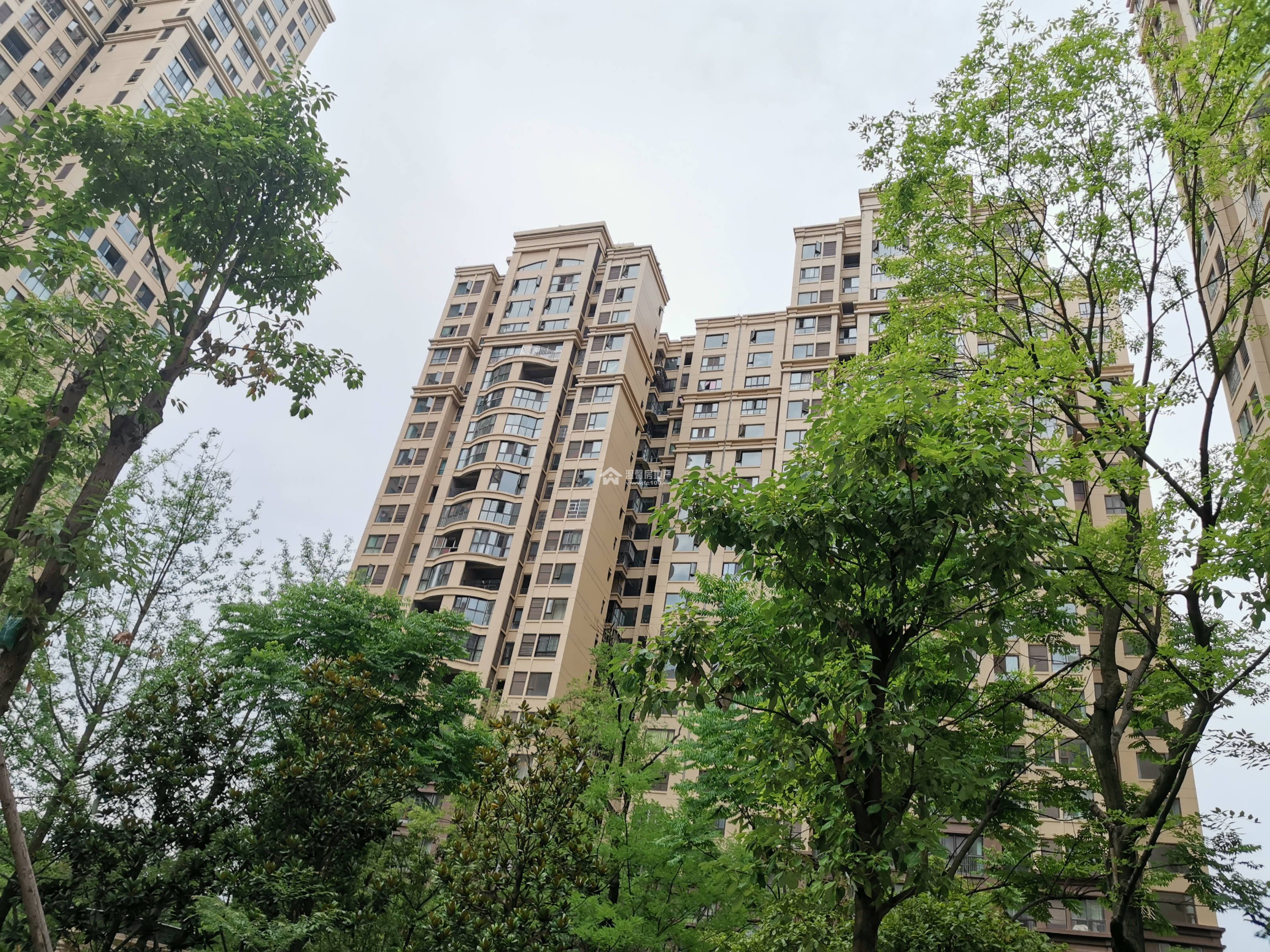 蓝湖城邦图片