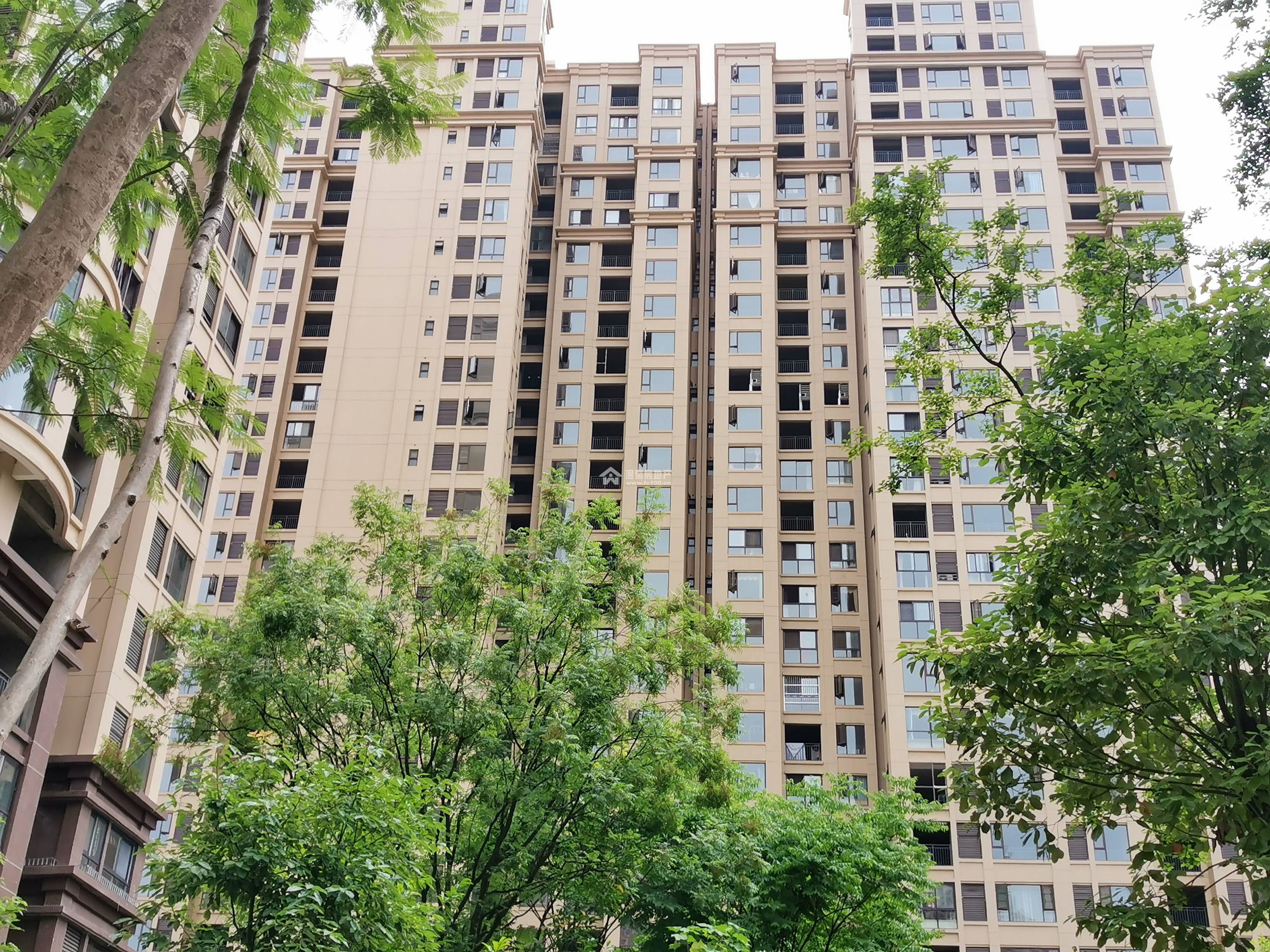 蓝湖城邦图片