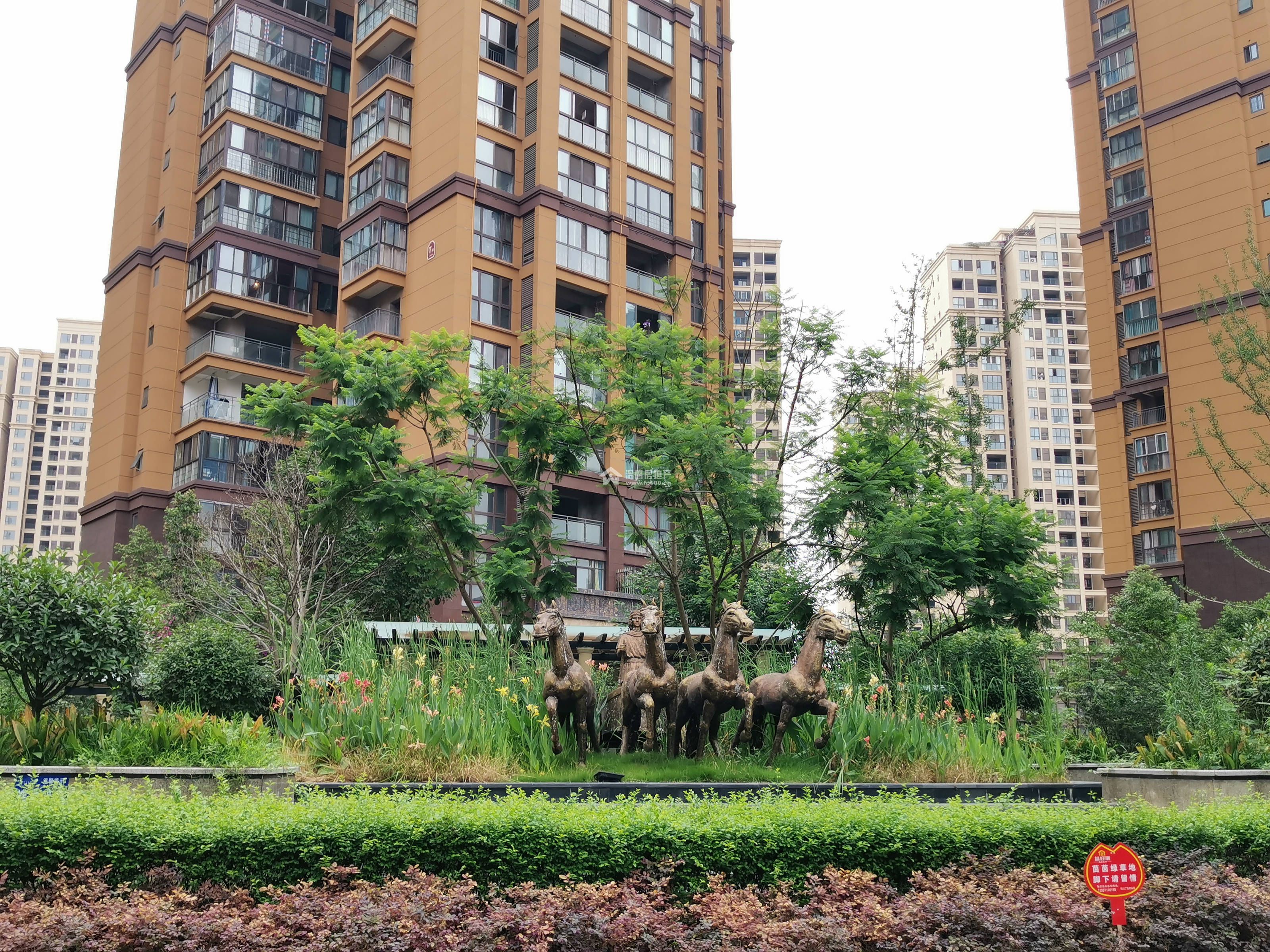 江东半岛图片