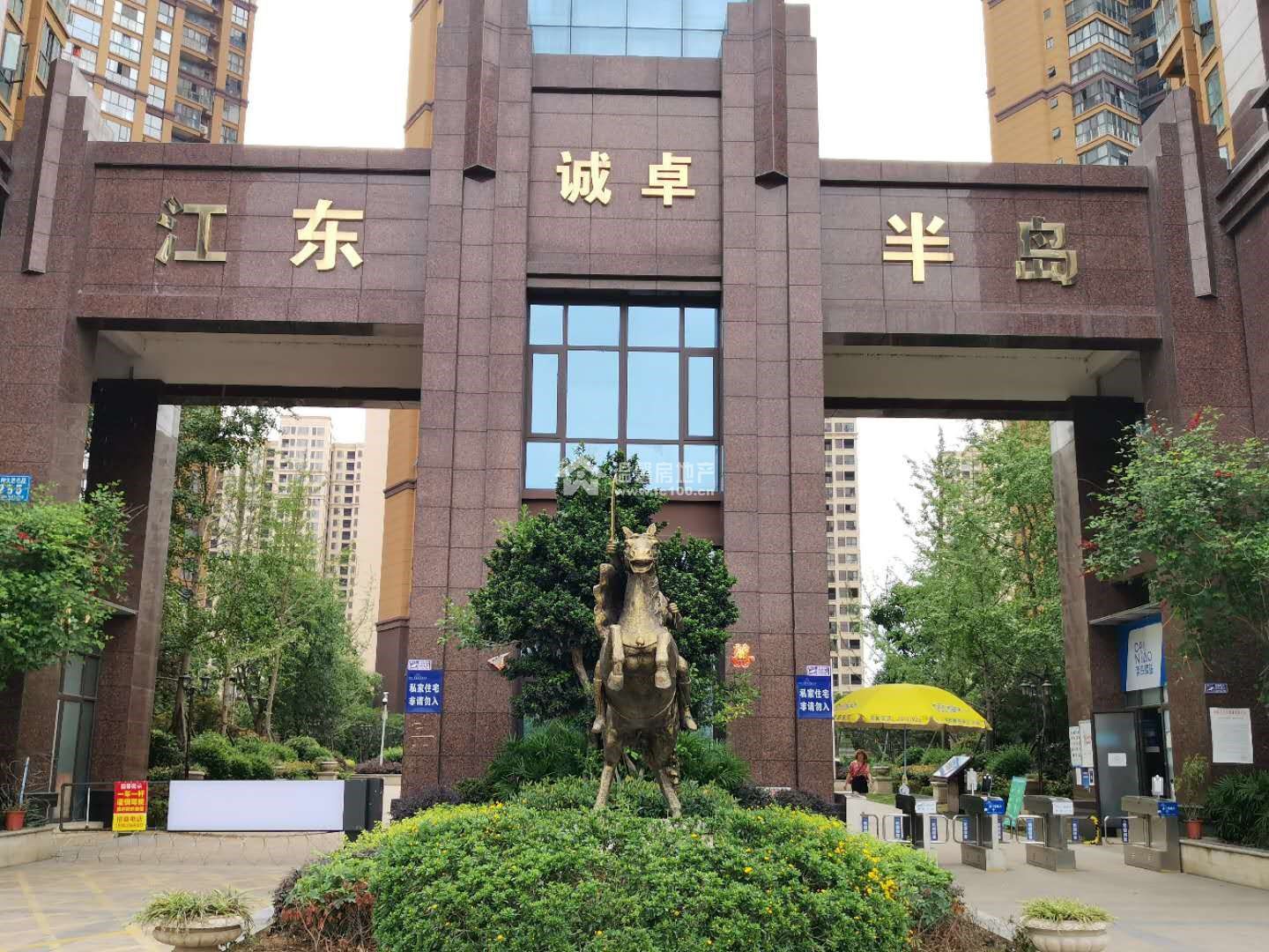 江东半岛图片