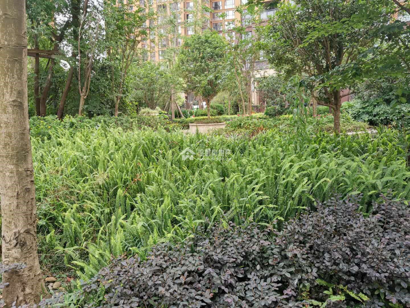 江东半岛图片