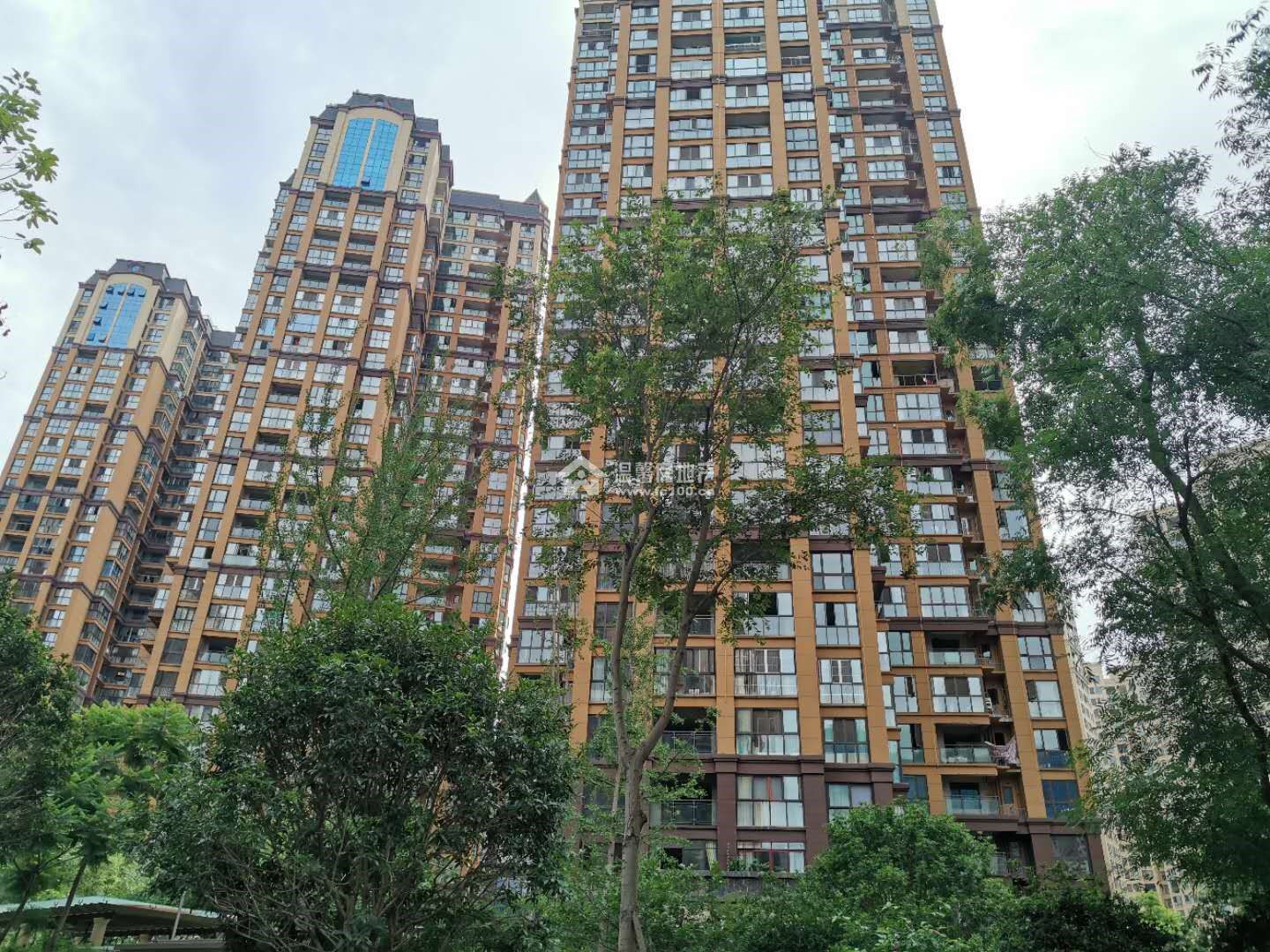 江东半岛图片