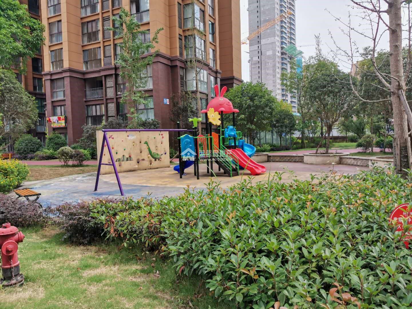 江东半岛图片