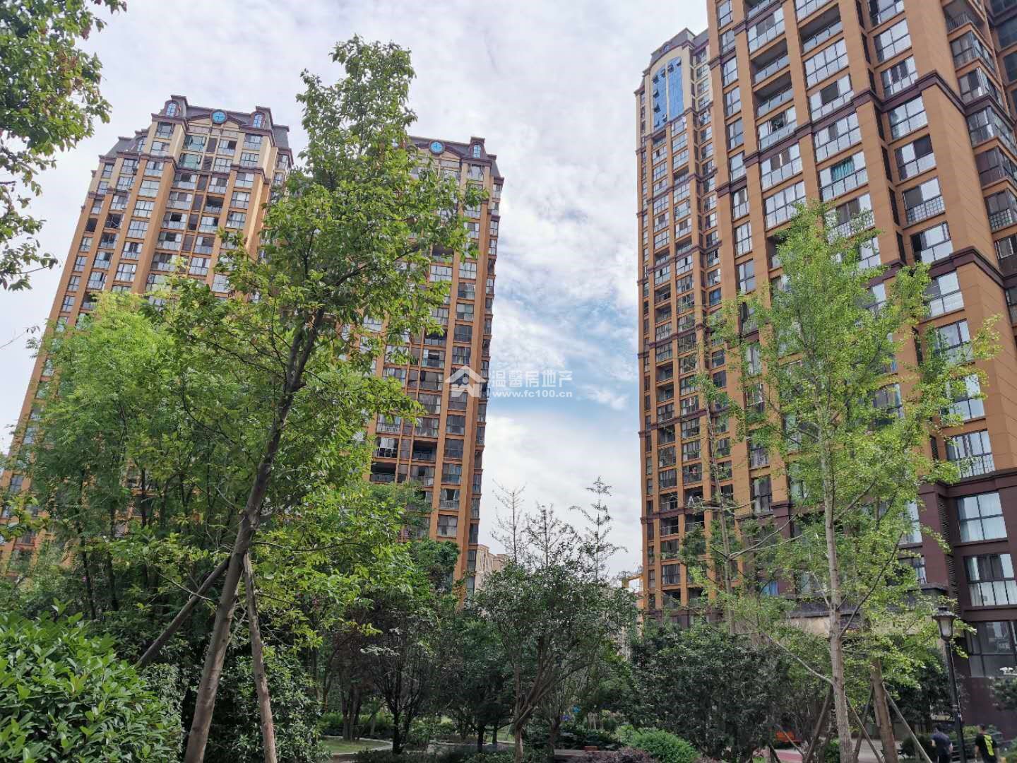 江东半岛图片