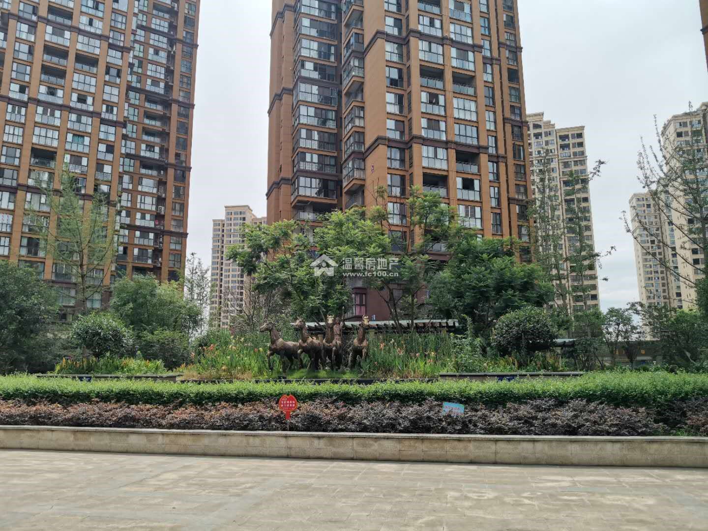 江东半岛图片