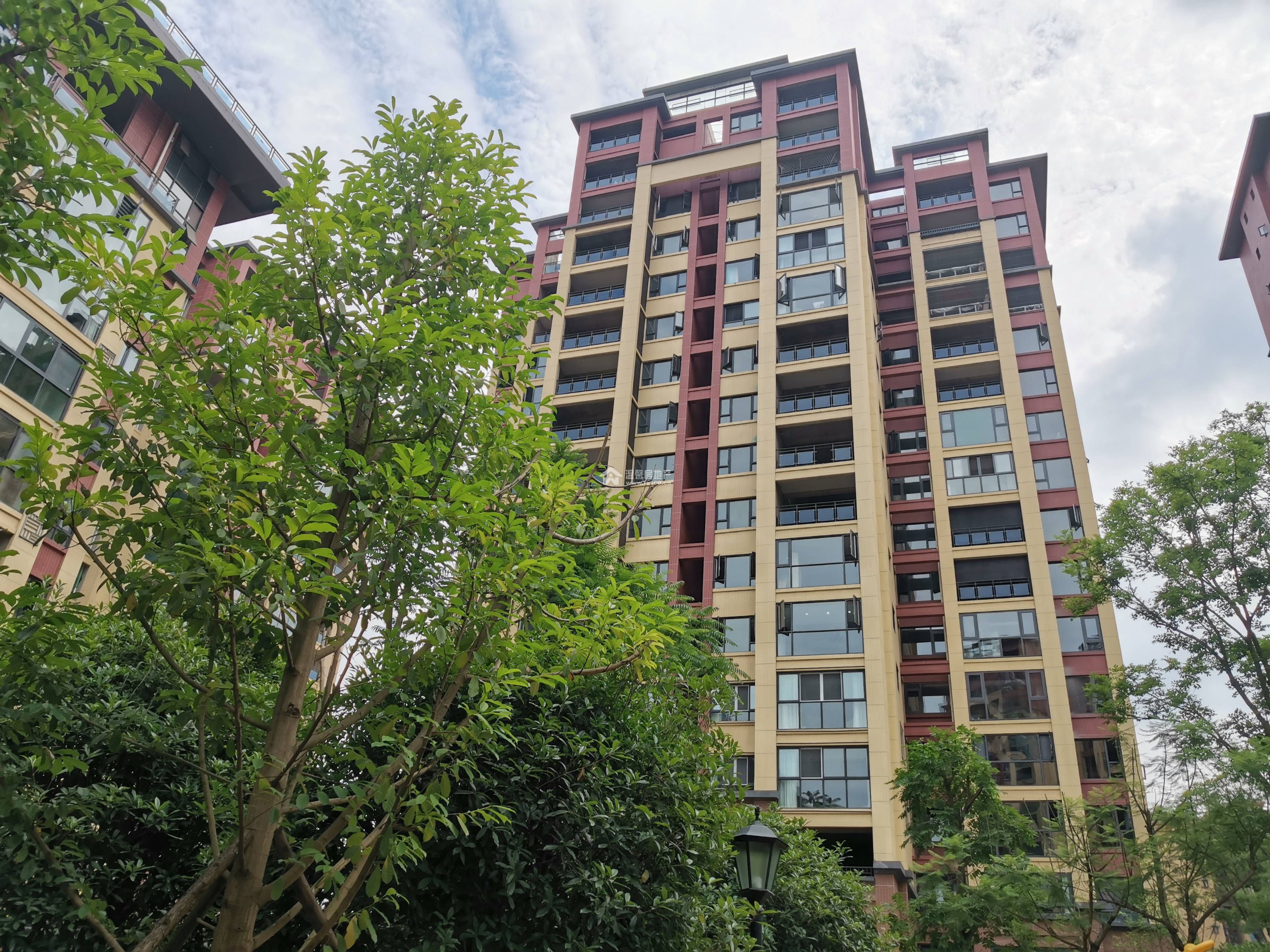 山漫锦城图片