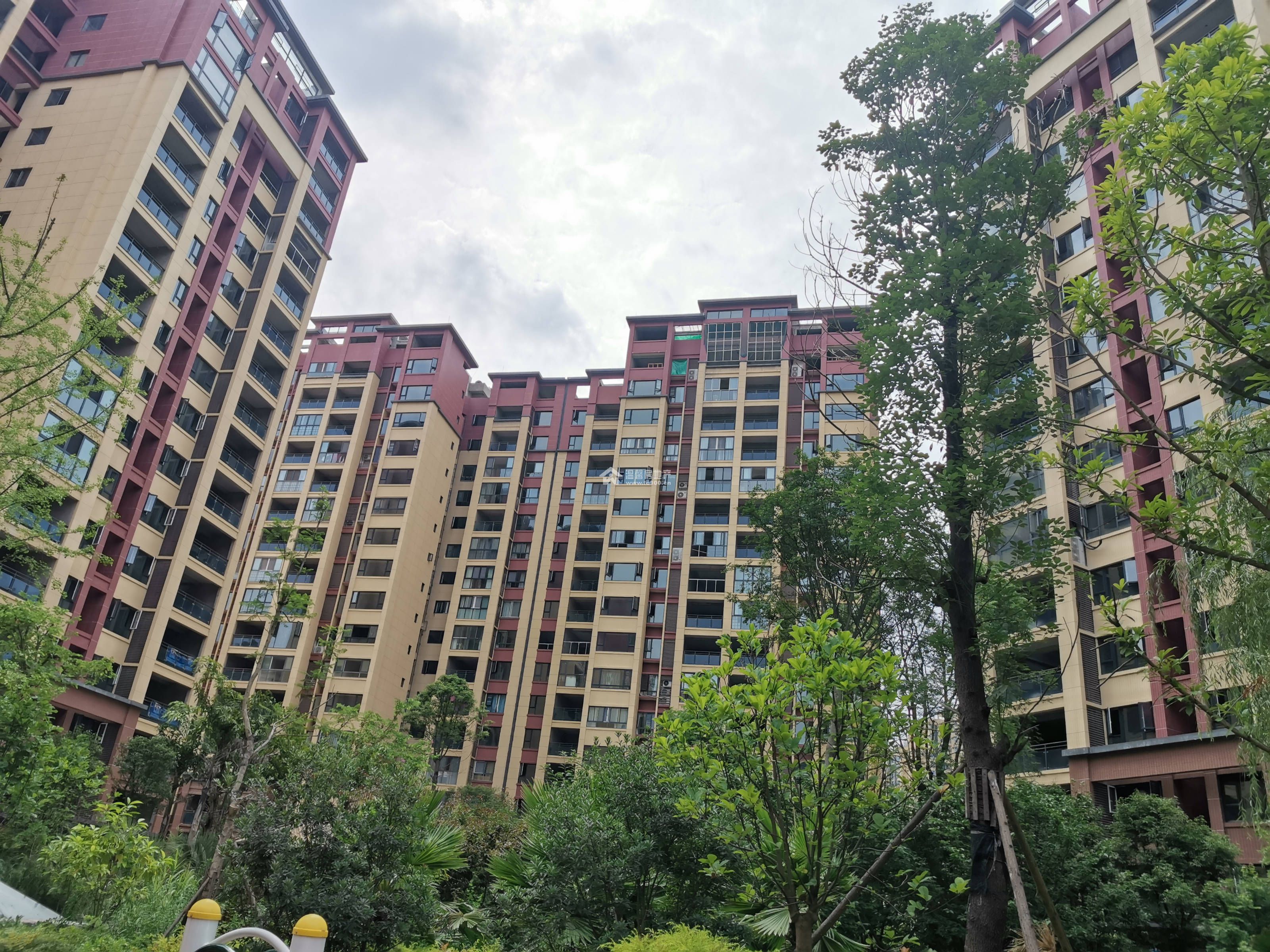 山漫锦城图片