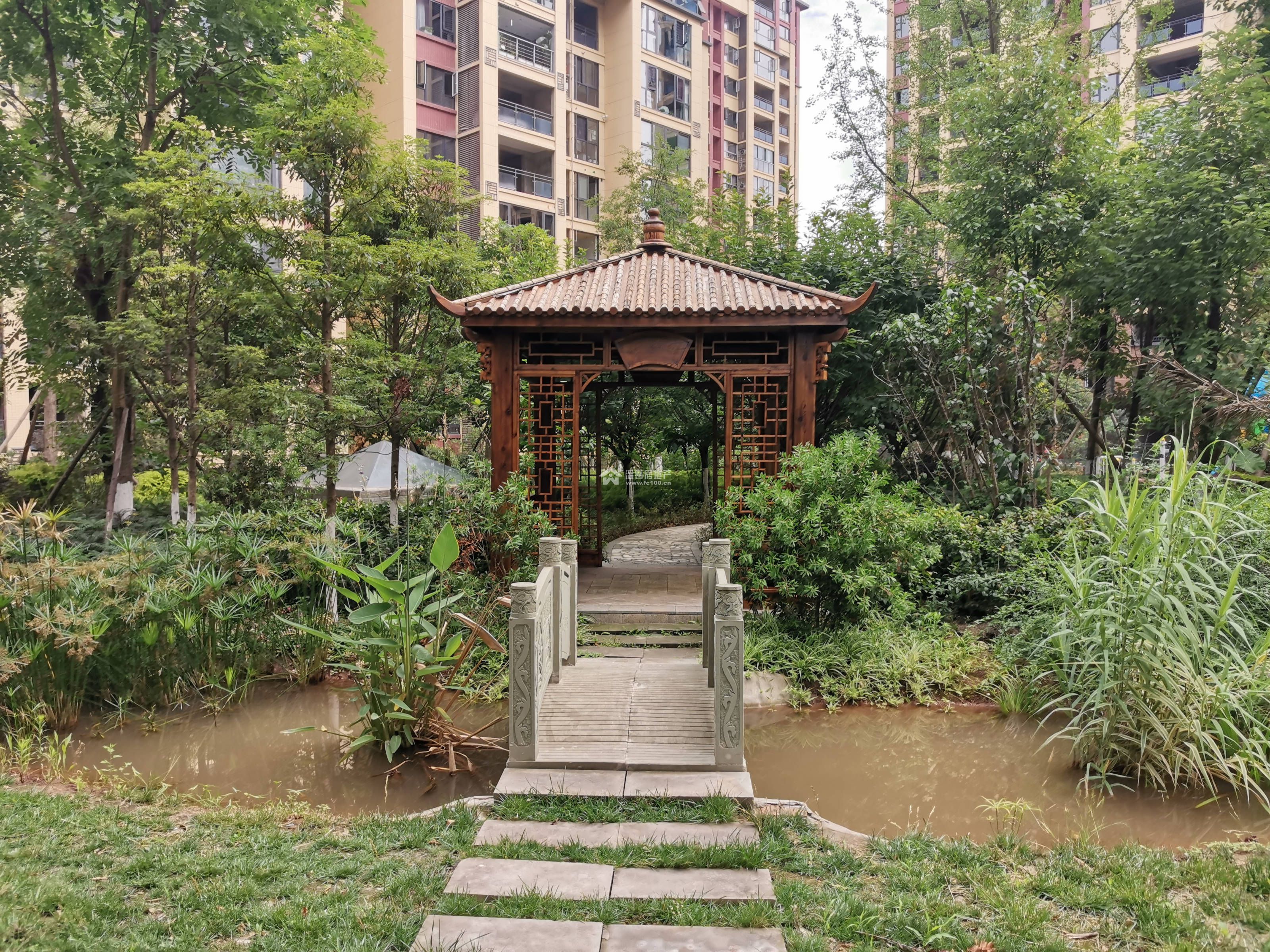 山漫锦城图片