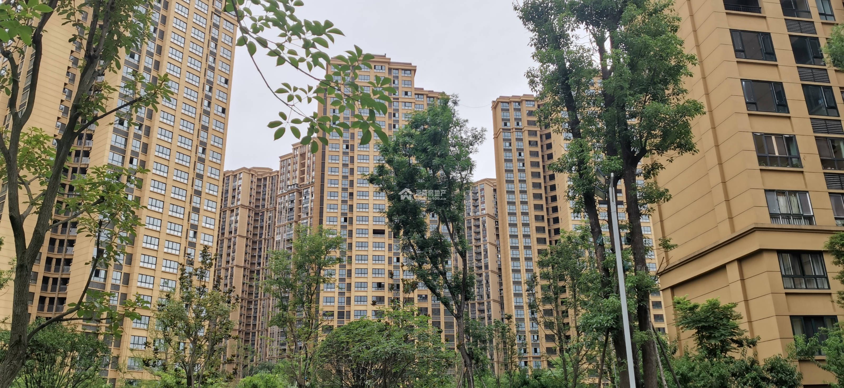 滨河湾一期图片